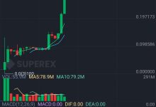 看不清未来时,就比别人坚持久一点_币想网