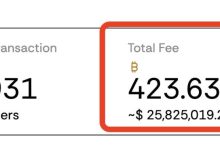符文为什么能主导Bitcoin 生态资产发行 ?_币想网