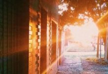 加密早报 * 每日不能错过的重要信息 * 2025年7月3日_币想网